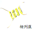 图片_x0020_1463781809