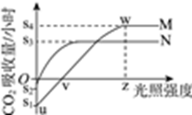 图片_x0020_100002