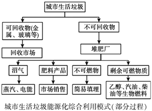 图片_x0020_293387706