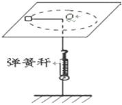 图片_x0020_955934773