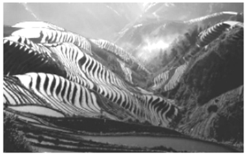 图片_x0020_100002