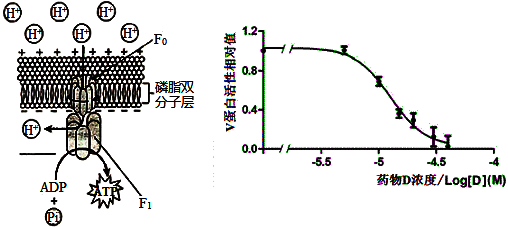 图片_x0020_2089279848
