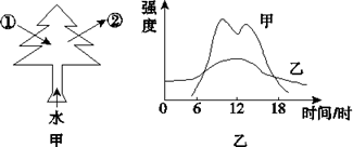 图片_x0020_100006