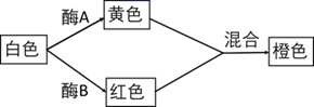图片_x0020_1230192245