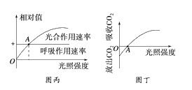 图片_x0020_100002
