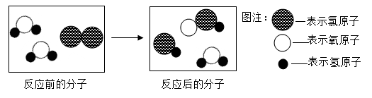 图片_x0020_949349501