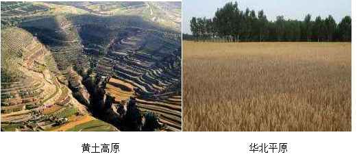 图片_x0020_100003