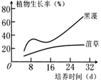 图片_x0020_100014