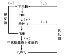 图片_x0020_100004