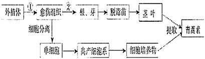 图片_x0020_100015