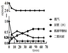 图片_x0020_100022