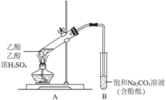 图片_x0020_100030