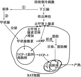 图片_x0020_100039