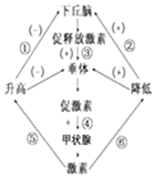 图片_x0020_100007