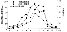图片_x0020_776525876