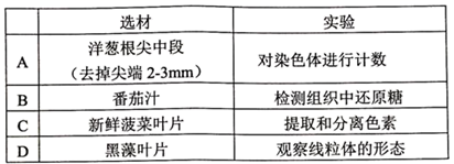 图片_x0020_100001