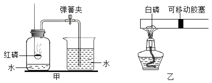 图片_x0020_1312157542
