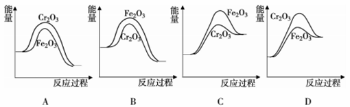图片_x0020_1922526091