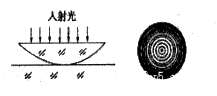 图片_x0020_1184748780