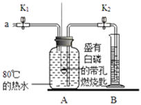图片_x0020_100019