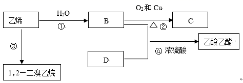 图片_x0020_100017