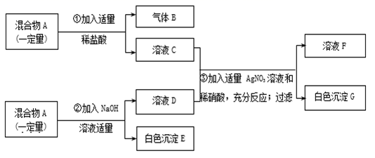 图片_x0020_100024