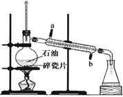 图片_x0020_100021