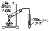 图片_x0020_100020