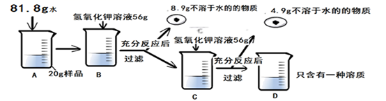 图片_x0020_100031