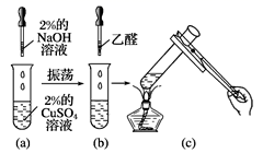 图片_x0020_955074673