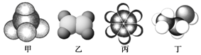 图片_x0020_100023