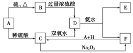 图片_x0020_402543396