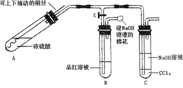 图片_x0020_1587522230