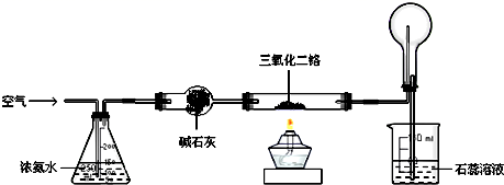 图片_x0020_100018