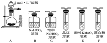 图片_x0020_100022