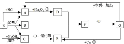 图片_x0020_100019
