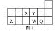 图片_x0020_1483971589