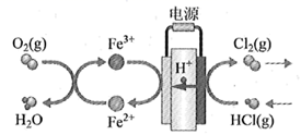图片_x0020_1607009569
