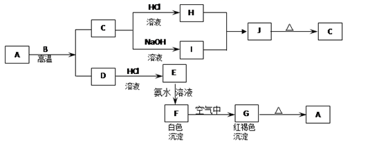 图片_x0020_100049