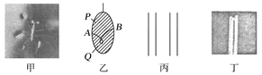 图片_x0020_100005