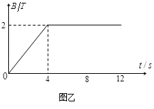 图片_x0020_1158239569