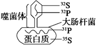 图片_x0020_705373130