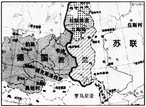 图片_x0020_100003