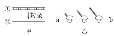 图片_x0020_1709675411