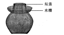 图片_x0020_100006