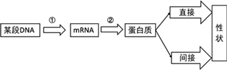 图片_x0020_100016