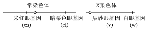 图片_x0020_1092994483