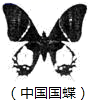 图片_x0020_100002