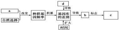 图片_x0020_195783380