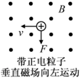 图片_x0020_100020